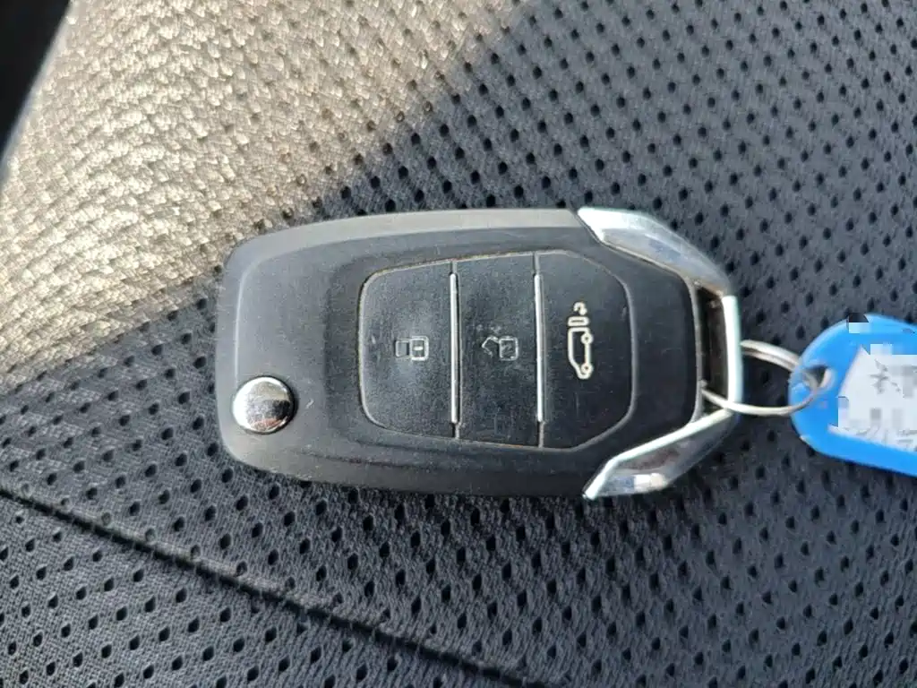 MAXUS V80 — миниатюра 9