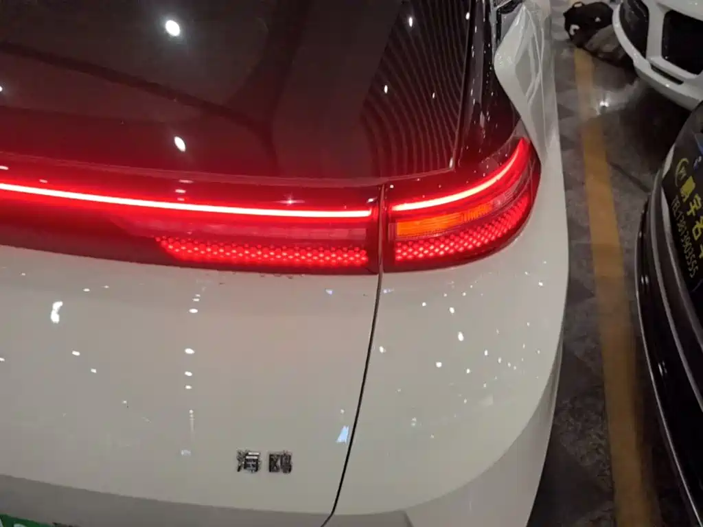 BYD Seagull 2025 305km