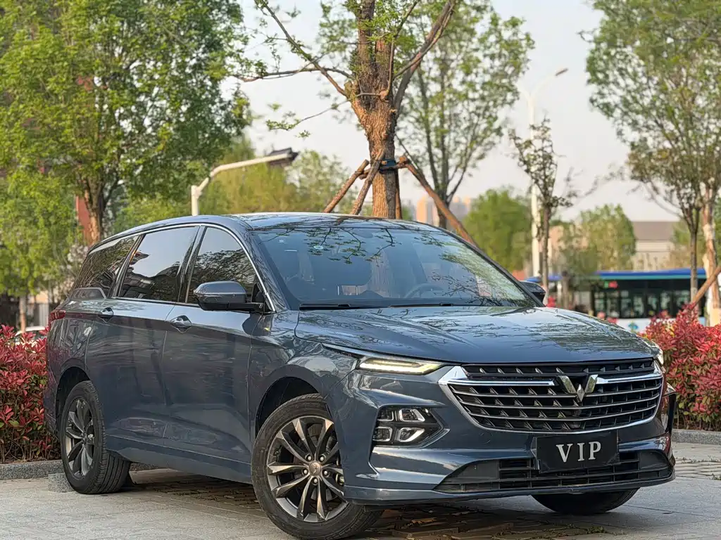 Wuling Victory 2020 1.5T CVT Luxury