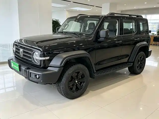 Tank 300