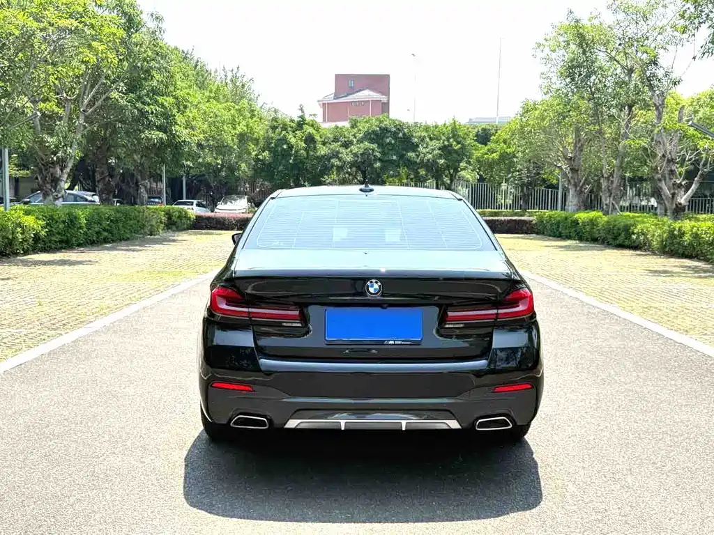 BMW 5 Series 5 2021 530Li Premium M Sport