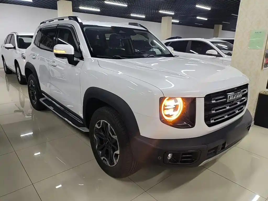 Haval 长城大狗 — миниатюра 4