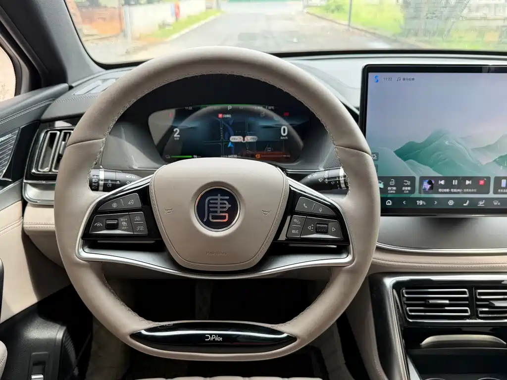 BYD Tang New Energy — миниатюра 11