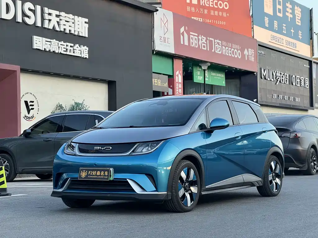 Byd Dolphin 2022