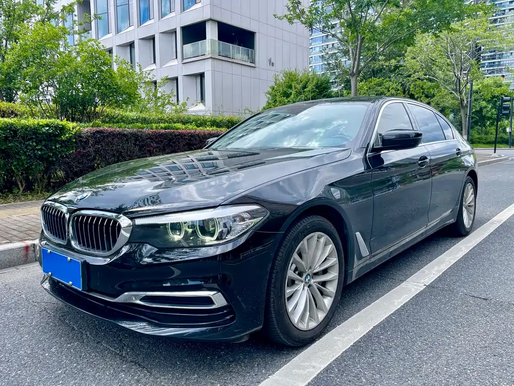 BMW 5 Series 5 2019 530Li Lead Luxury
