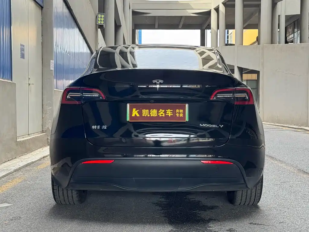 Tesla Model Y — миниатюра 8