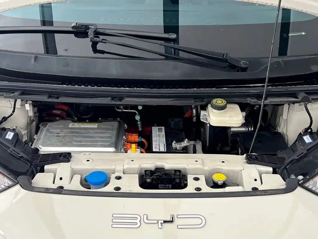 BYD Seagull