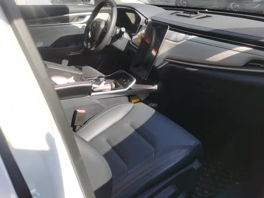 WM Motor EX5 — миниатюра 8