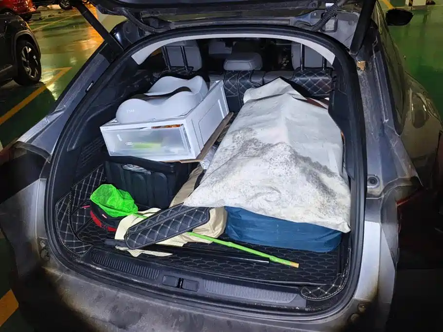 CITROEN VERSAILLES C5 X