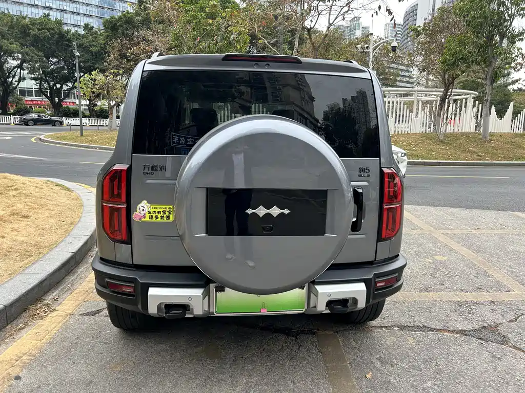 FANG CHENG BAO LEOPARD 5