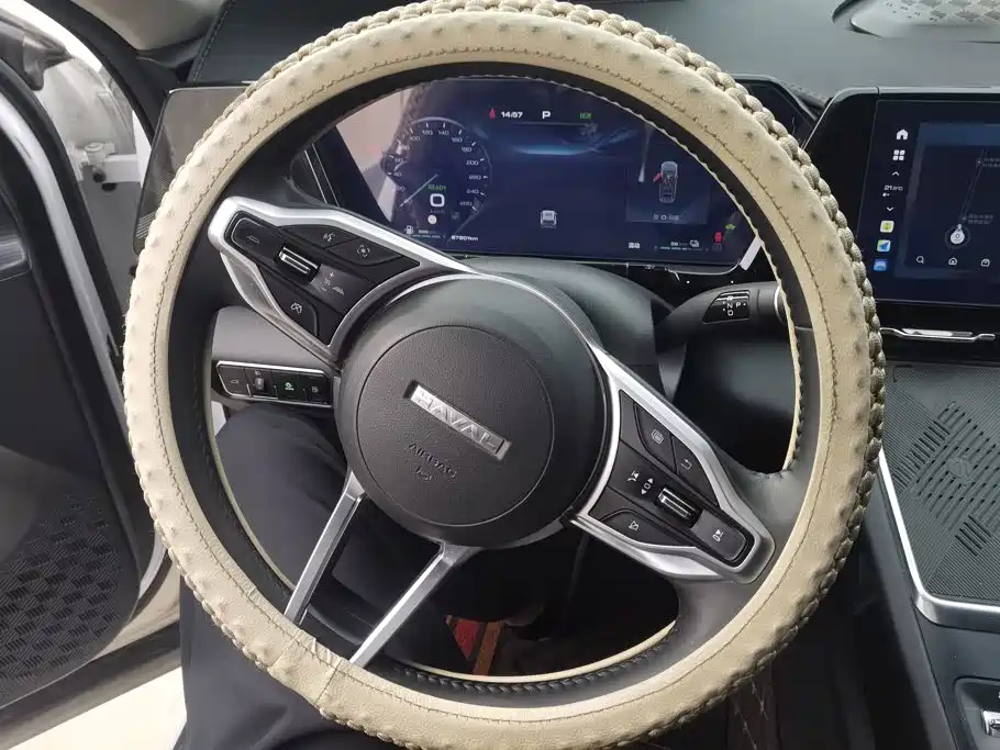 Haval Xiaolong MAX — миниатюра 15