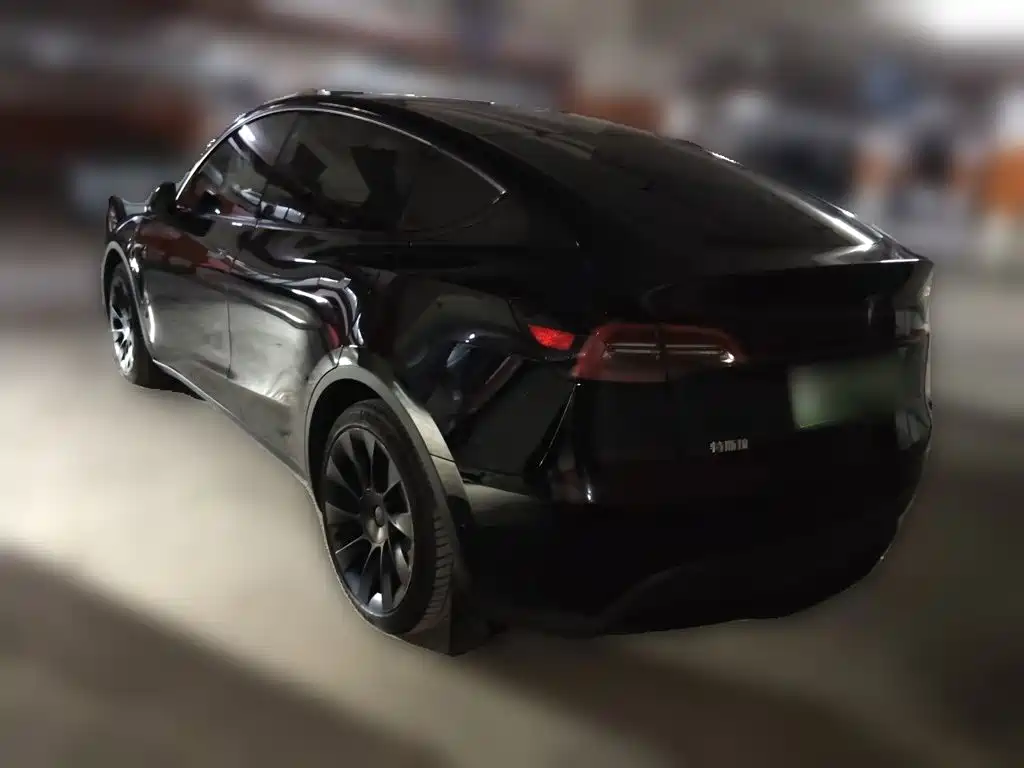 Tesla Model Y — миниатюра 25