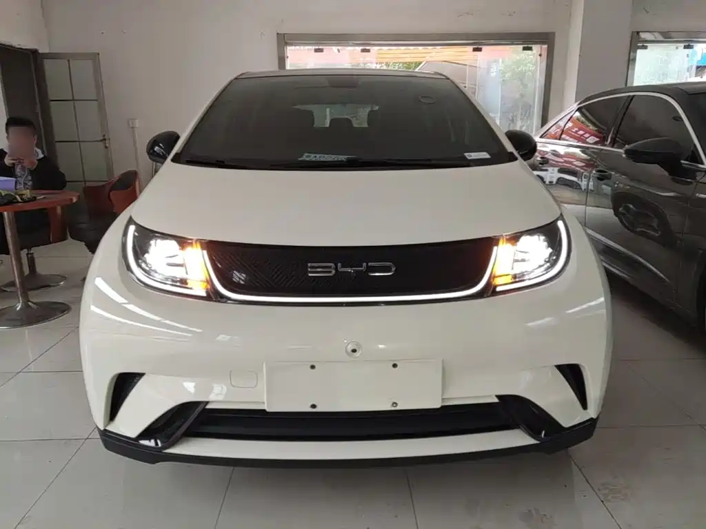 BYD Dolphin — миниатюра 3