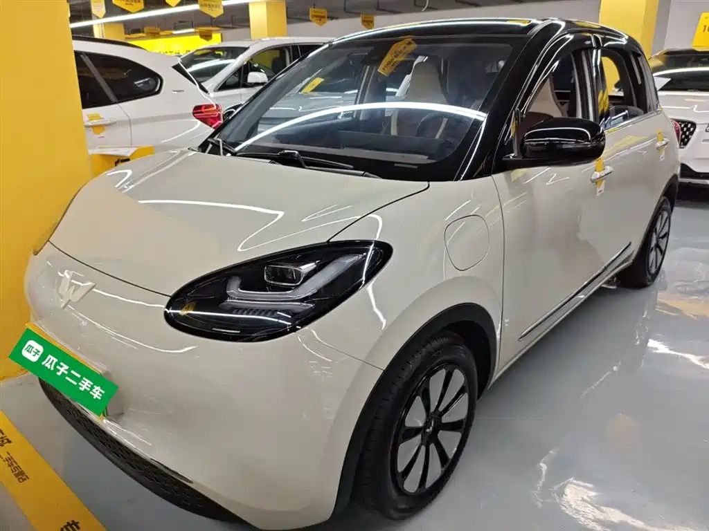Wuling Binguo 2023 333km +