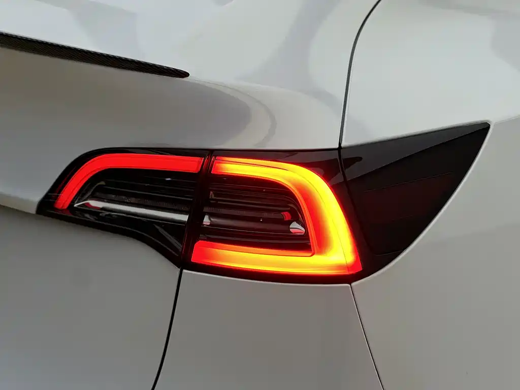 Tesla Model Y — миниатюра 23