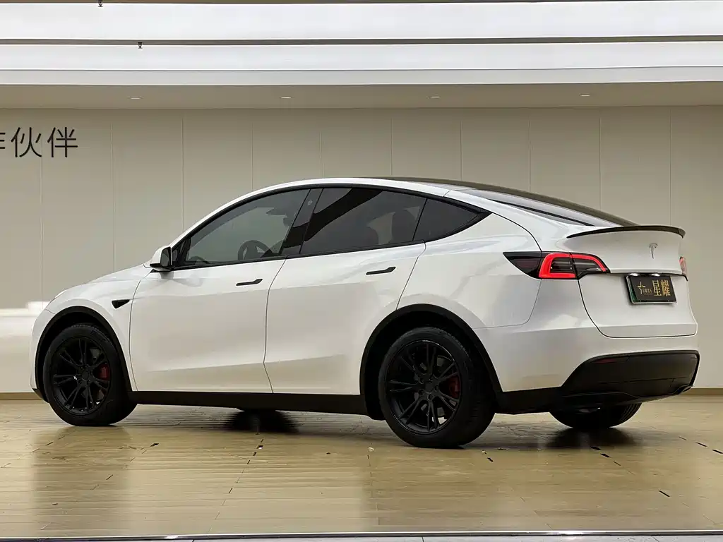 Tesla Model Y — миниатюра 22