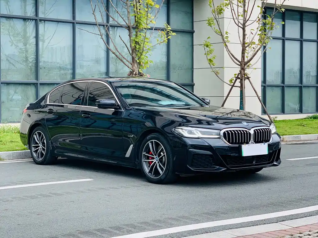 BMW 5 Series New Energy — миниатюра 3