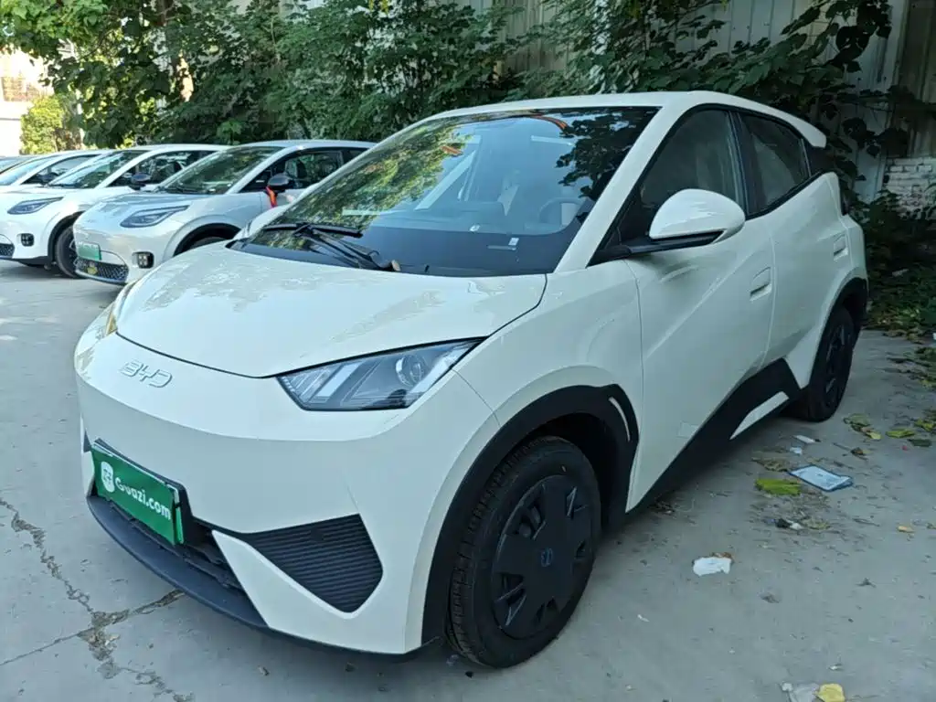 BYD Seagull 2025 Smart Drive 305km