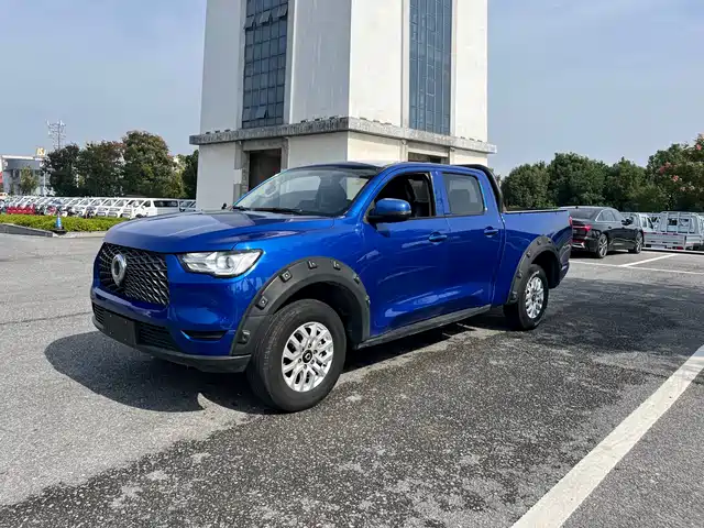 GREAT WALL CANNON 2020