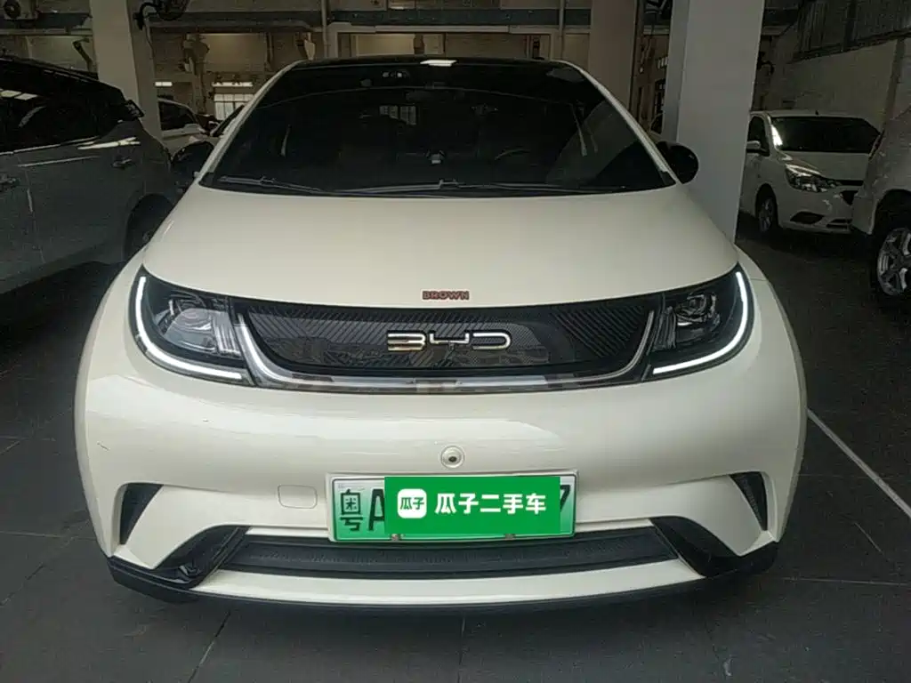 BYD Dolphin — миниатюра 3