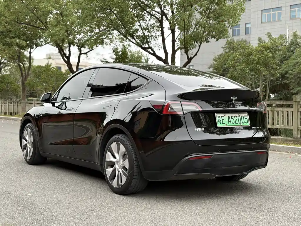 Tesla Model Y — миниатюра 9