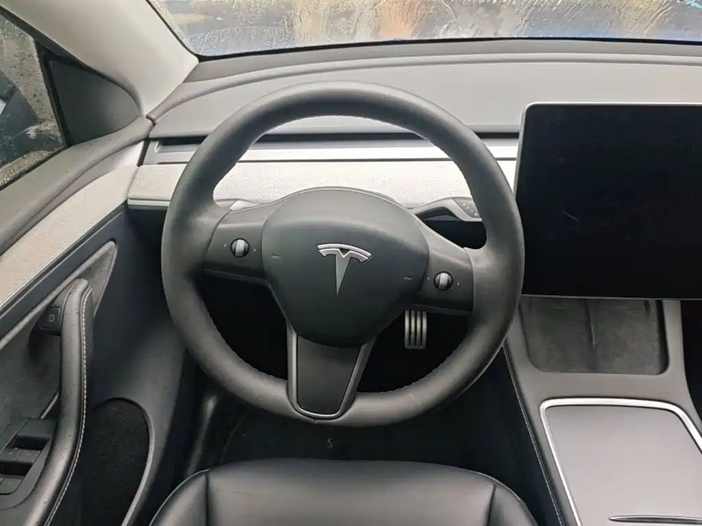 Tesla Model Y — миниатюра 11