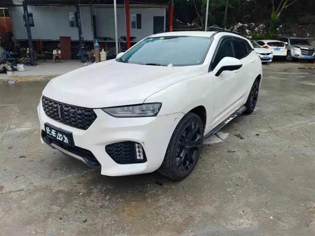 Купить Wey Wey VV7