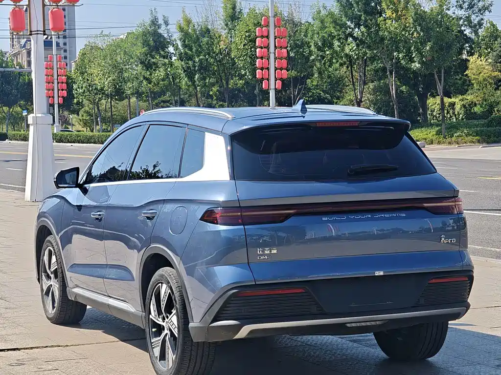 BYD Pro New Energy — миниатюра 8