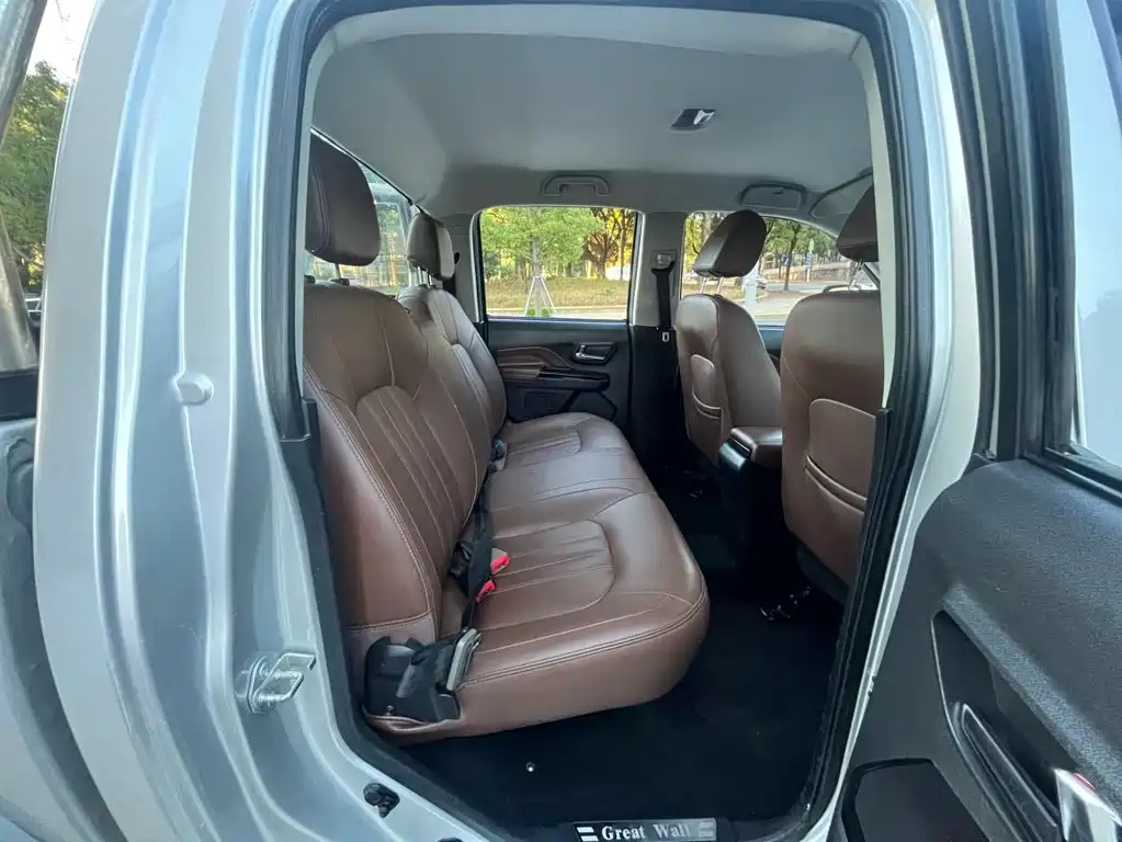 GREAT WALL FENGJUN 6