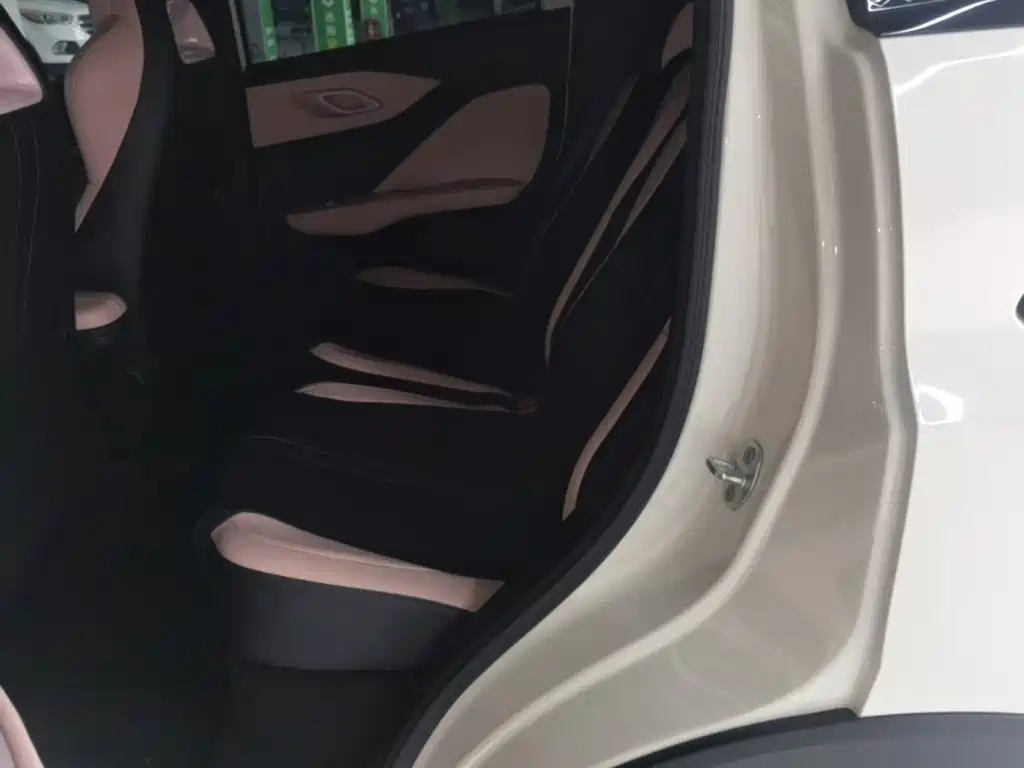 BYD Seagull — миниатюра 17
