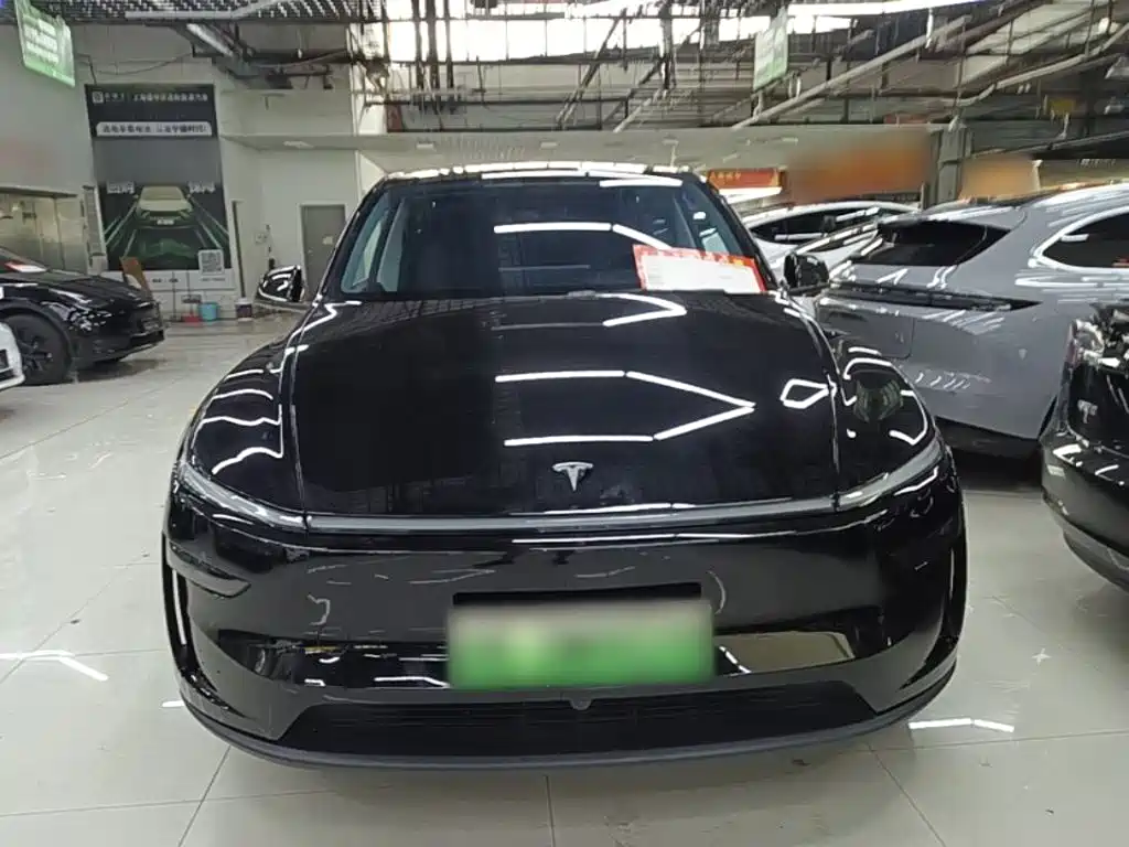 Tesla Model Y — миниатюра 3