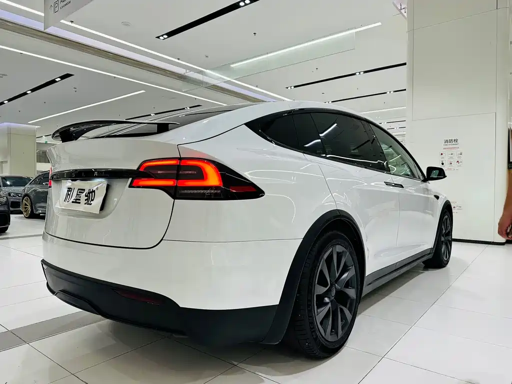 Tesla Model X — миниатюра 17