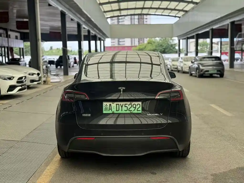 Tesla Model Y — миниатюра 7
