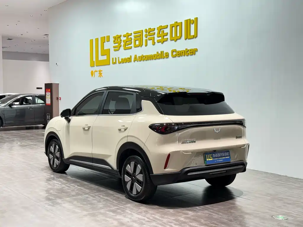 Wuling BinguoS S 2025 325km Premium