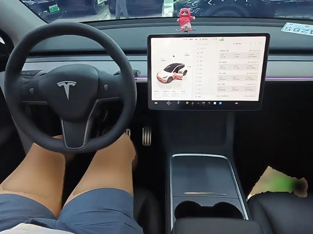 Tesla Model Y — миниатюра 10