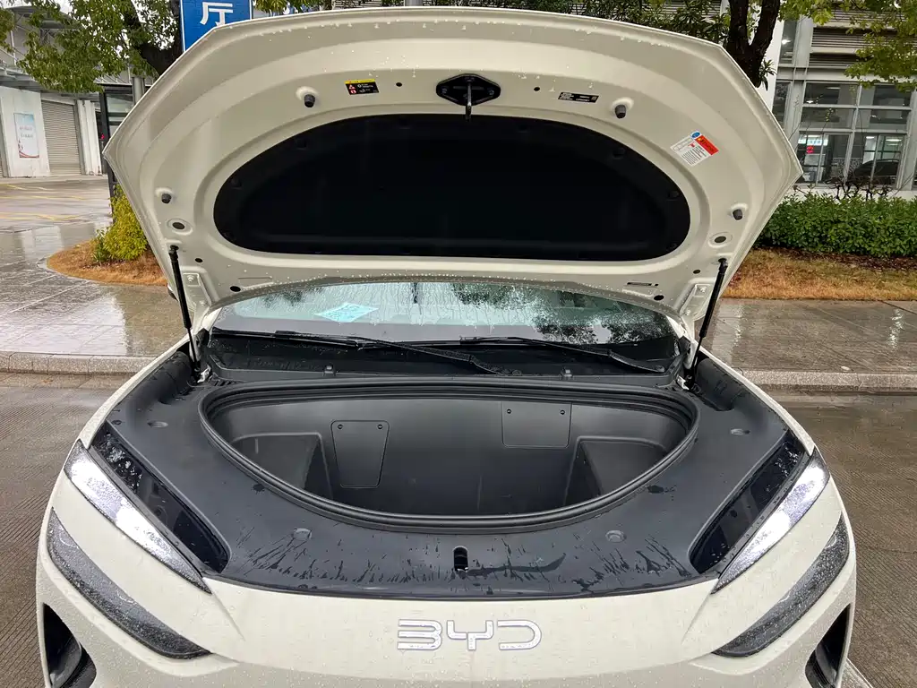 BYD SEA LION 06 NEW ENERGY