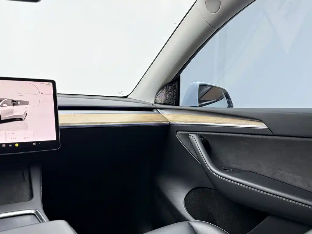 Tesla Model Y — миниатюра 15