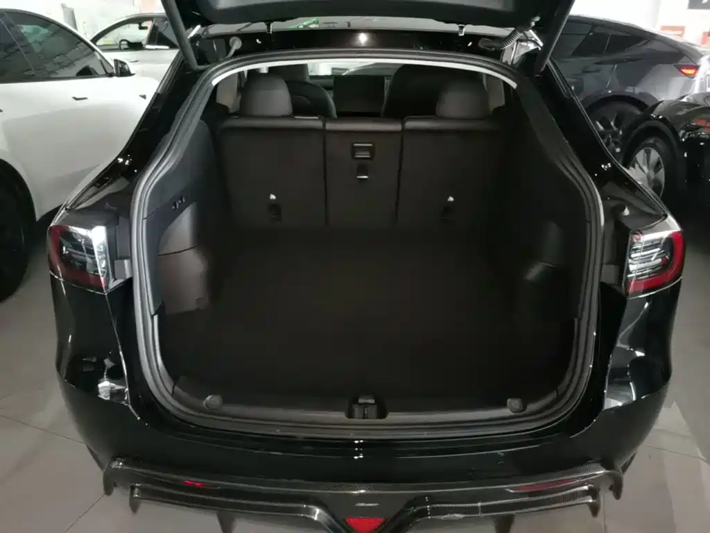 Tesla Model Y — миниатюра 19