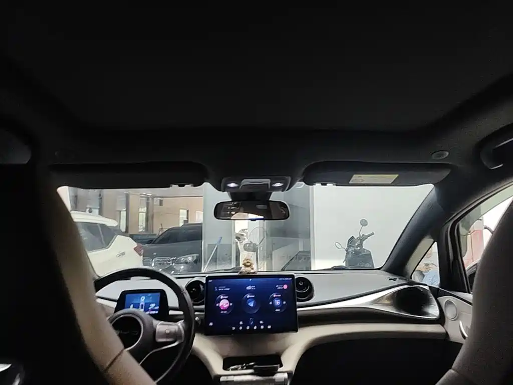 BYD Dolphin — миниатюра 17