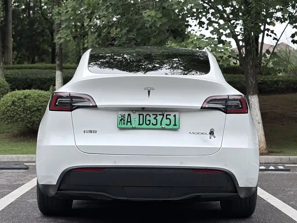 Tesla Model Y — миниатюра 7