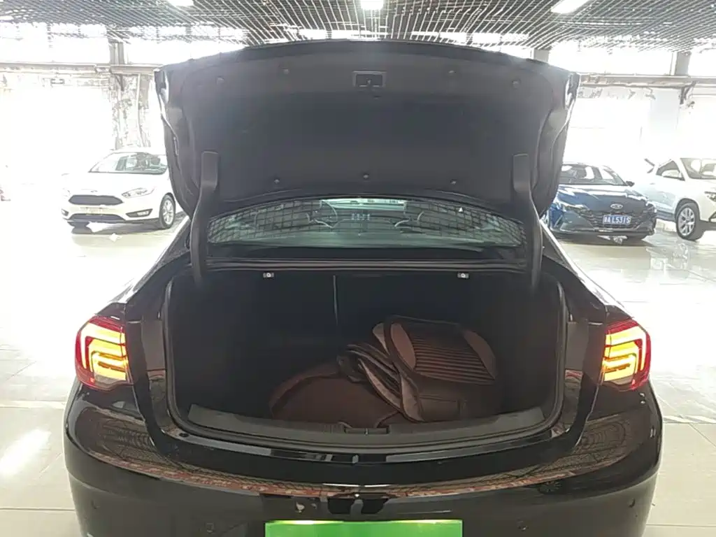 Buick Regal — миниатюра 19