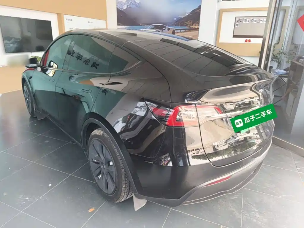 Tesla Model Y — миниатюра 5