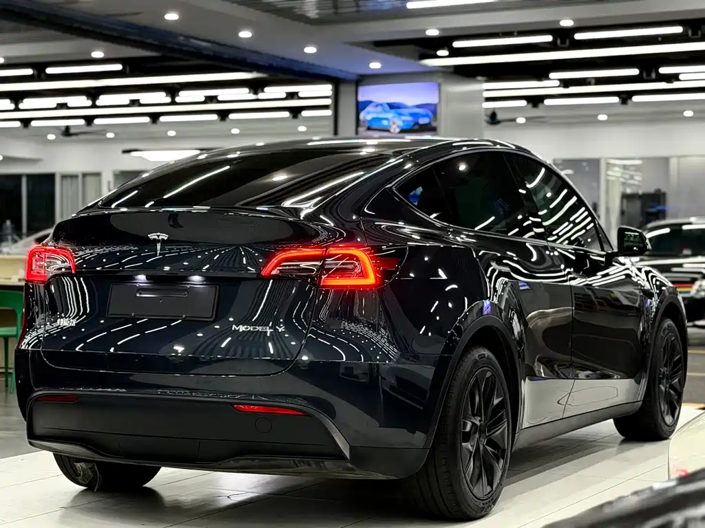 Tesla Model Y — миниатюра 6