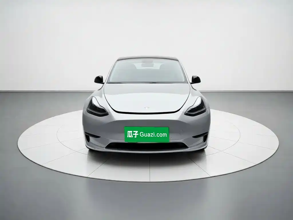Tesla Model Y — миниатюра 2