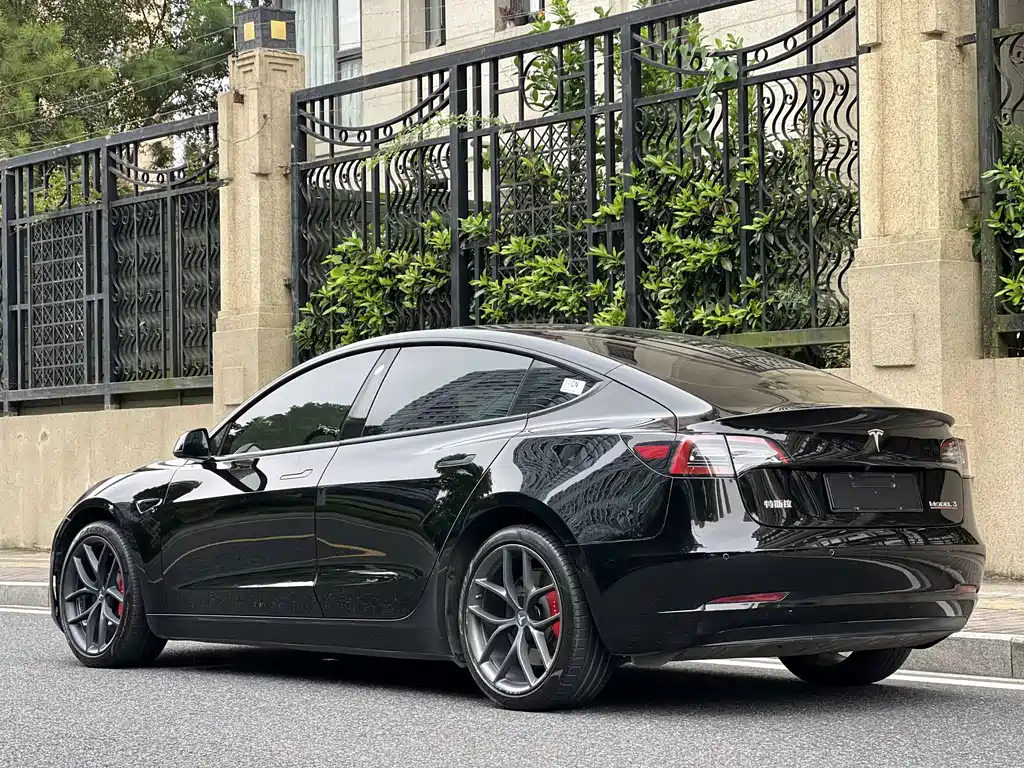 Tesla Model 3 — миниатюра 4