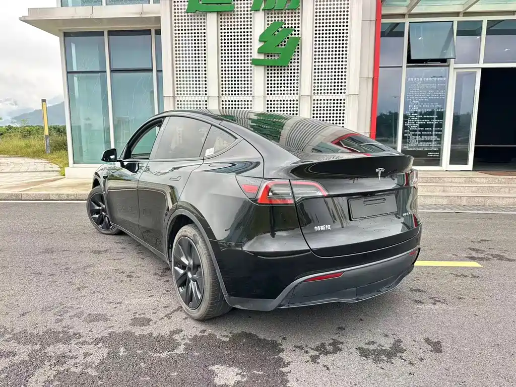 Tesla Model Y — миниатюра 3