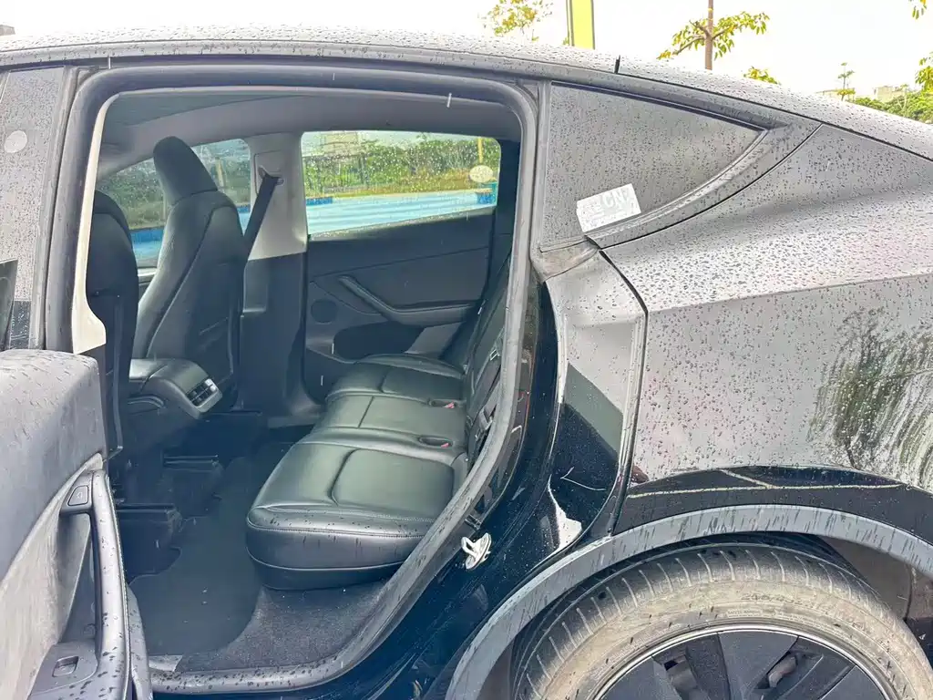 Tesla Model Y — миниатюра 9