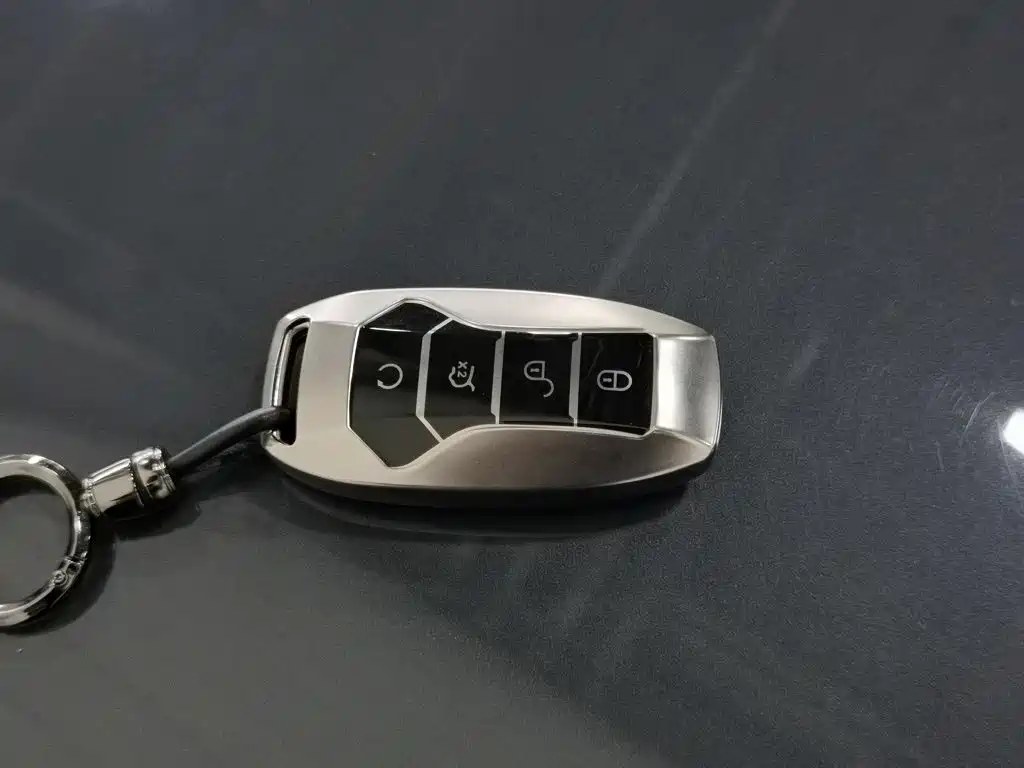 BYD Tang New Energy — миниатюра 19