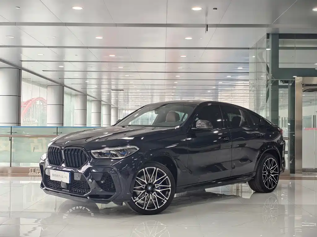 BMW X6 — миниатюра 2