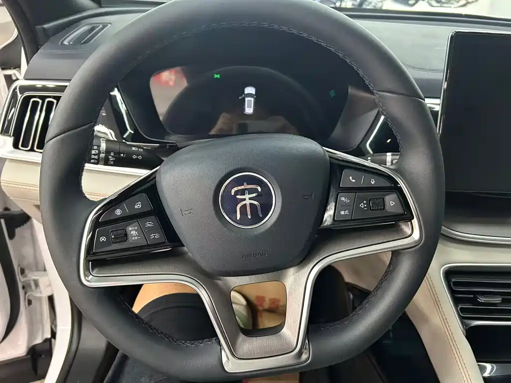 BYD PLUS New Energy — миниатюра 10